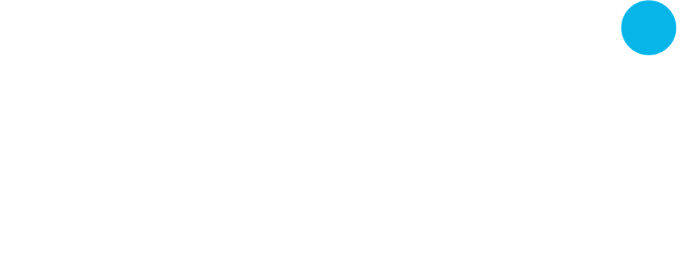 Webbidu Digital Minds